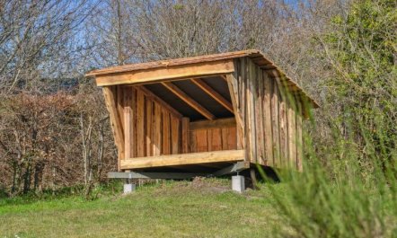 'Asel' - 25m from the sea 3