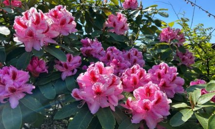 'Asta' - 1km from the sea 2