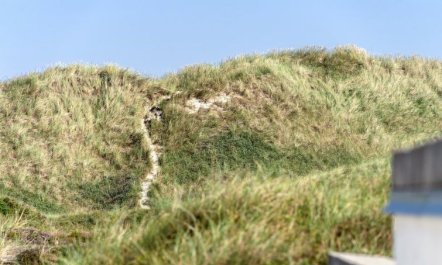 'Marjon' - 400m from the sea 2