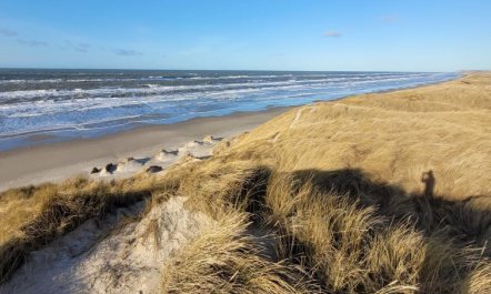 'Heralde' - 60m from the sea 3