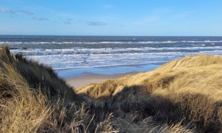 'Heralde' - 60m from the sea 2