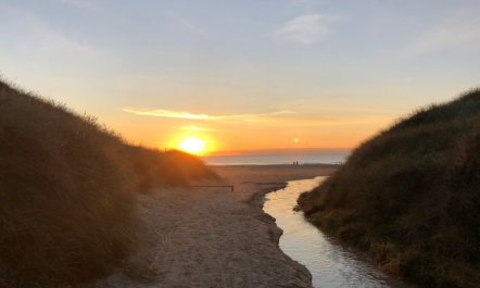 'Tuukka' - 350m from the sea 2