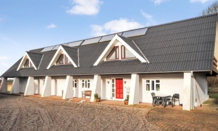 'Millie' - 3km to the fjord