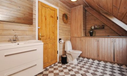 'Millie' - 3km to the fjord 1