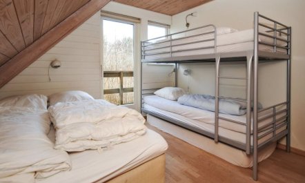 'Millie' - 3km to the fjord 4