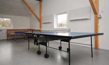 'Millie' - 3km to the fjord 6