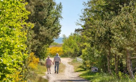 'Anderson' -  from the sea 3