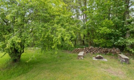 'Clari' - 500m from the sea 5