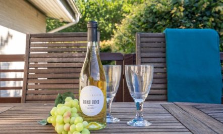 'Anselma' - 800m to the fjord 7