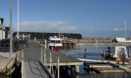 'Elevus' -  from the sea 3