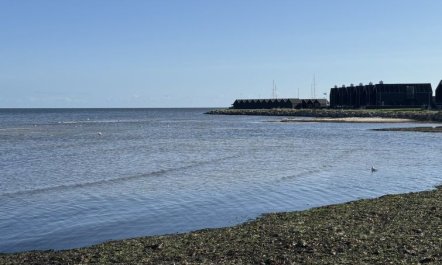 'Elevus' -  from the sea 2