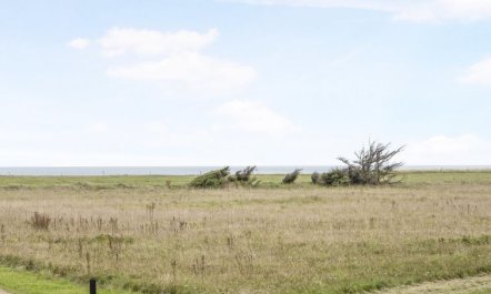 'Into' - 400m from the sea 2