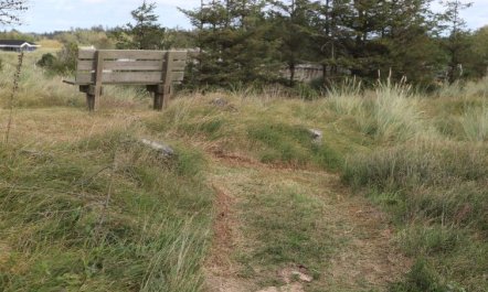 'Vanamo' - 300m from the sea 1