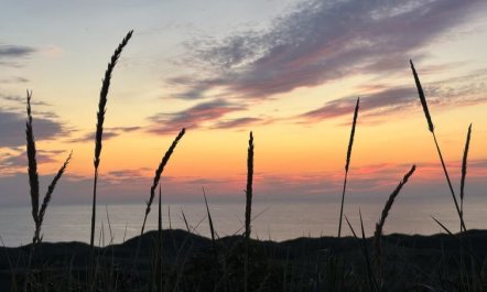 'Bjerund' - 300m from the sea 2