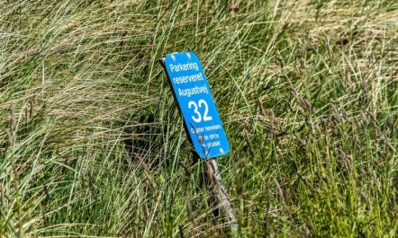 'Fatlinda' - 50m from the sea 2