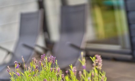 'Yukon' - 150m from the sea 5