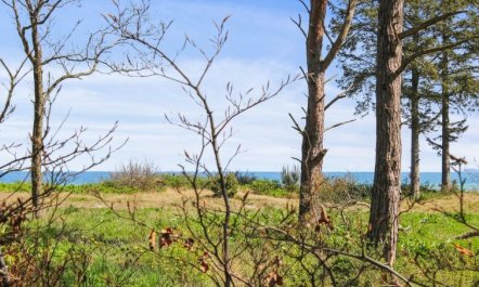 'Carit' - 80m from the sea 4