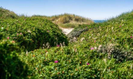 'Rutha' - 45m from the sea 7