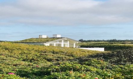 'Rutha' - 45m from the sea 5