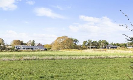 'Frieda' - 250m from the sea 7