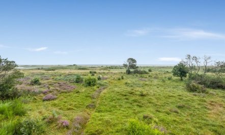 'Githe' -  from the sea 1