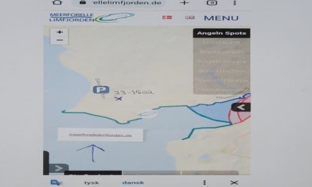 'Imilie' - 250m to the fjord 2