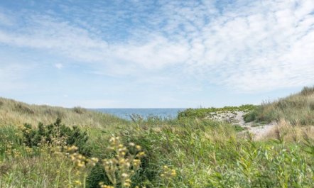 'Gerko' - 150m from the sea 4