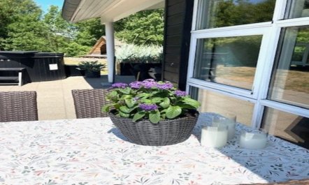 'Frederikka' - 1.9km from the sea 6