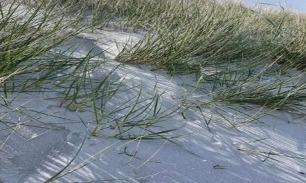 'Frederikka' - 1.9km from the sea 1