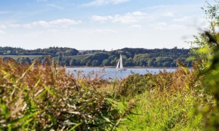 'Berta' - 70m to the fjord 5