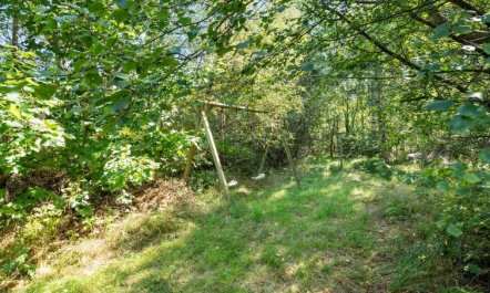 'Jussi' - 3.5km from the sea 5