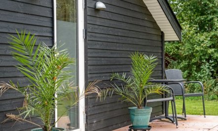 'Silvia' -  from the sea 5