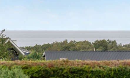 'Kimi' - 800m from the sea 2