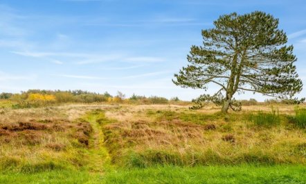 'Hejdie' - 150m from the sea 3