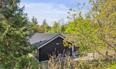 'Hejdi' - 350m from the sea 3