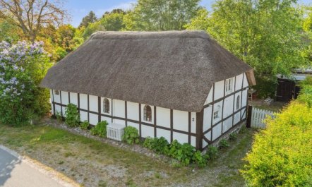 'Alfhild' - 3km from the sea