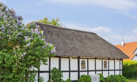 'Alfhild' - 3km from the sea 7