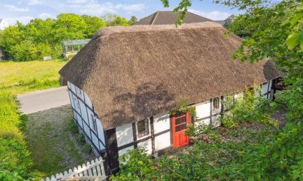 'Alfhild' - 3km from the sea 5