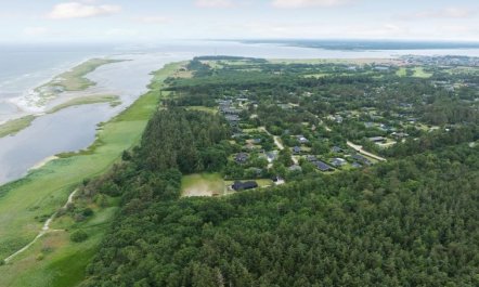 'Ingwin' -  from the sea 2