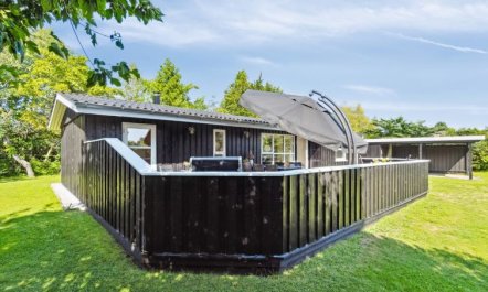 'Felippa' -  from the sea 3