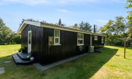 'Felippa' -  from the sea 2