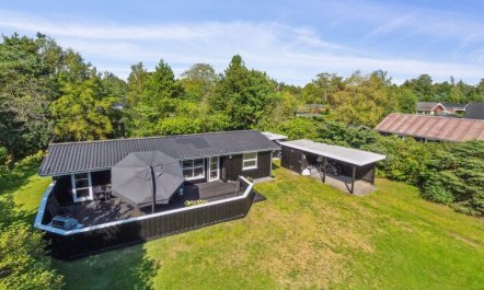 'Felippa' -  from the sea 1