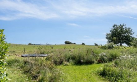 'Bæver' - 200m from the sea 5