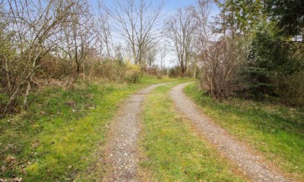 'Rakita' - 550m from the sea 2