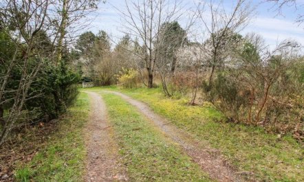 'Rakita' - 550m from the sea 1