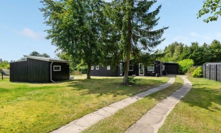 'Sigfred' - 1.5km from the sea 2