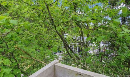 'Astrid' - 875m from the sea 5