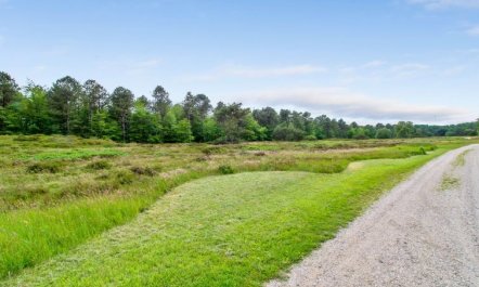 'Flora' - 150m from the sea 2