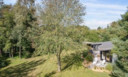 'Fintan' - 1km from the sea 3