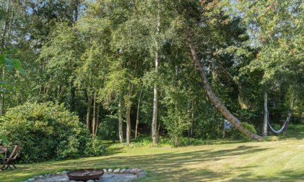 'Fintan' - 1km from the sea 2